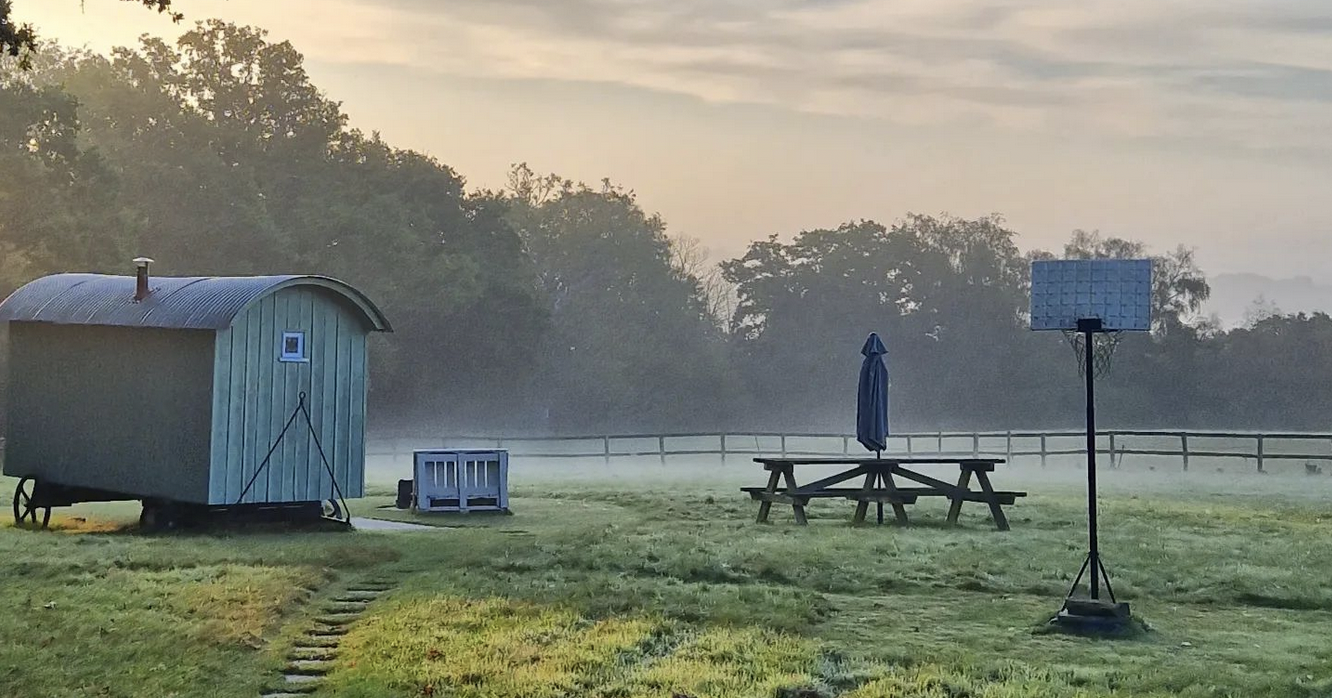 MOLLY DISHWASHER The TN card